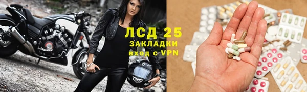 дживик Каменногорск