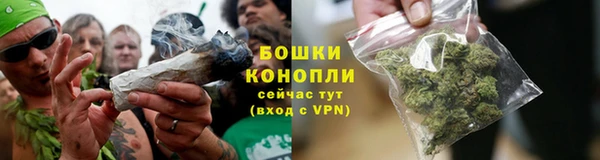дживик Каменногорск