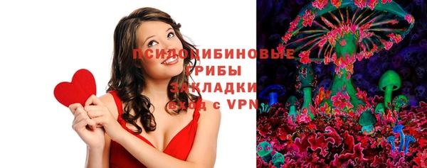 дживик Каменногорск